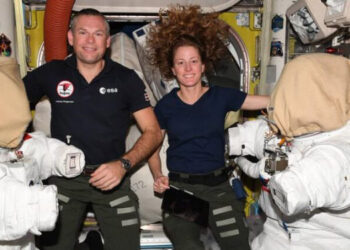 SUSPENDEN DE POR VIDA A JUGADOR DE BURROS BLANCOS POR AGRESIÓN