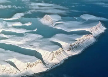 SUSPENDEN DE POR VIDA A JUGADOR DE BURROS BLANCOS POR AGRESIÓN