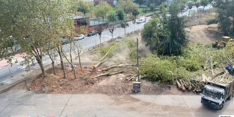 PREOCUPACIÓN AMBIENTAL: NUEVA TALA DE ÁRBOLES EN PROYECTOS DE CONSTRUCCIÓN EN BARAKALDO 1 CRYSTAL PALACE ENFRENTA A TOTTENHAM EN BUSCA DE LA RECUPERACIÓN