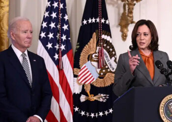 COSECHA DE LA FLOR DE CEMPASÚCHIL PARA EL DÍA DE MUERTOS EN MÉXICO