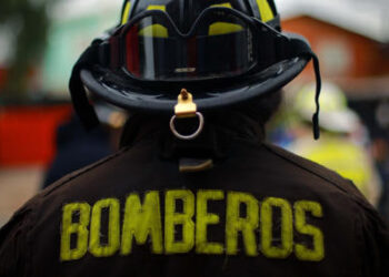 COSECHA DE LA FLOR DE CEMPASÚCHIL PARA EL DÍA DE MUERTOS EN MÉXICO