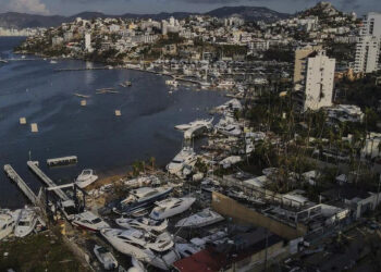 COSECHA DE LA FLOR DE CEMPASÚCHIL PARA EL DÍA DE MUERTOS EN MÉXICO