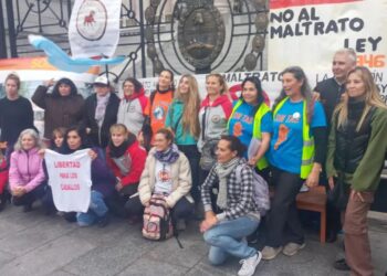 USHUAIA APRUEBA HISTÓRICA LEY QUE ELEVA A LOS CABALLOS A LA CONDICIÓN DE SERES SINTIENTES: UNANIMIDAD EN LA CREACIÓN DEL “PROGRAMA DE RESPETO A LOS EQUINOS”