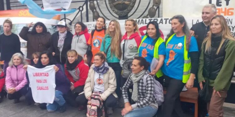 USHUAIA APRUEBA HISTÓRICA LEY QUE ELEVA A LOS CABALLOS A LA CONDICIÓN DE SERES SINTIENTES: UNANIMIDAD EN LA CREACIÓN DEL "PROGRAMA DE RESPETO A LOS EQUINOS" 1 USHUAIA APRUEBA HISTÓRICA LEY QUE ELEVA A LOS CABALLOS A LA CONDICIÓN DE SERES SINTIENTES: UNANIMIDAD EN LA CREACIÓN DEL “PROGRAMA DE RESPETO A LOS EQUINOS”