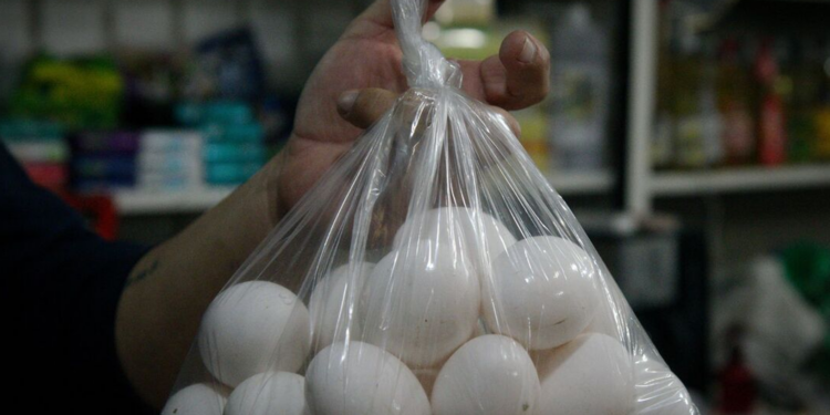 INICIA CONGRESO DE TAMAULIPAS CON HUEVOS… PARA AMÉRICO 1 INICIA CONGRESO DE TAMAULIPAS CON HUEVOS… PARA AMÉRICO