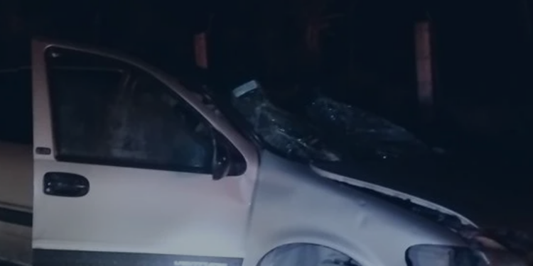 MUEREN 7 INTEGRANTES DE FAMILIA QUE REGRESABA DE UN VELORIO 1 MUEREN 7 INTEGRANTES DE FAMILIA QUE REGRESABA DE UN VELORIO