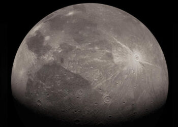 MANCHESTER UNITED ELIMINADO DE LA CARABAO CUP TRAS DERROTA 3-0 ANTE EL NEWCASTLE