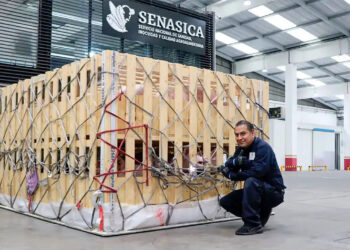 FALLECE EL ACTOR TARAJA RAMSESS Y TRES DE SUS HIJOS EN UN ACCIDENTE DURANTE LA NOCHE DE HALLOWEEN