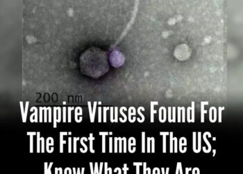 ACTUACIÓN AGRIDULCE DE GUILLERMO OCHOA EN EMPATE DEL SALERNITANA EN LA SERIE A