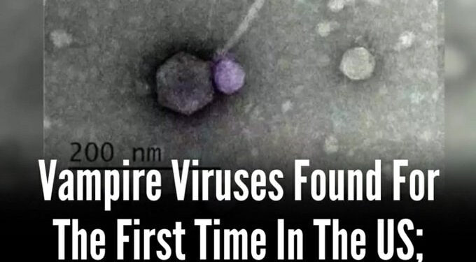 CIENTÍFICOS DESCUBRE EL VIRUS VAMPIRO CAPAZ DE ALIMENTARSE DE OTROS VIRUS 1 ACTUACIÓN AGRIDULCE DE GUILLERMO OCHOA EN EMPATE DEL SALERNITANA EN LA SERIE A