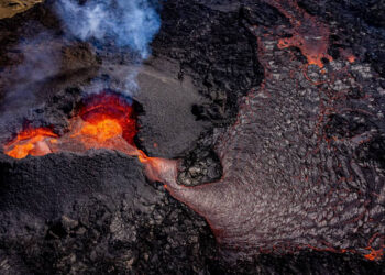 HALLAN MUERTO AL PRIMER MAGISTRADE DEL TRIBUNAL ELECTORAL EN AGUASCALIENTES, MÉXICO