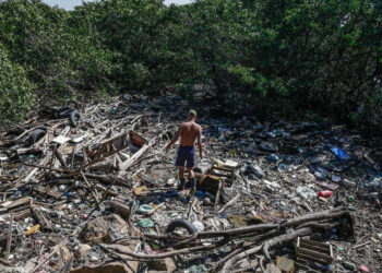 AVISTAMIENTO INUSUAL EN EL CIELO DE FLORIDA DESPIERTA ASOMBRO EN REDES SOCIALES