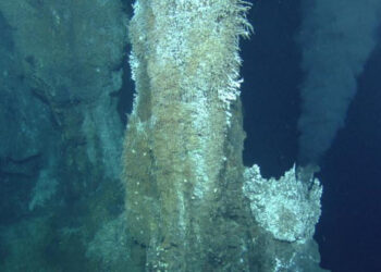 CRISTIANO RONALDO BRILLA CON UN DOBLETE EN LA VICTORIA DEL AL NASSR EN LA LIGA DE ARABIA SAUDITA