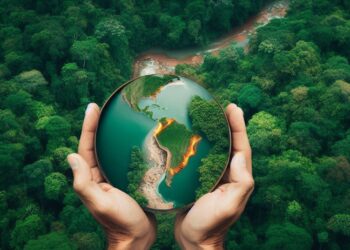 PREOCUPANTES EFECTOS DEL FENÓMENO “EL NIÑO” EN LOS BOSQUES DE AMÉRICA DEL SUR: UNA AMENAZA AL EQUILIBRIO DEL CARBONO