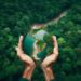 PREOCUPANTES EFECTOS DEL FENÓMENO "EL NIÑO" EN LOS BOSQUES DE AMÉRICA DEL SUR: UNA AMENAZA AL EQUILIBRIO DEL CARBONO 7 PREOCUPANTES EFECTOS DEL FENÓMENO “EL NIÑO” EN LOS BOSQUES DE AMÉRICA DEL SUR: UNA AMENAZA AL EQUILIBRIO DEL CARBONO