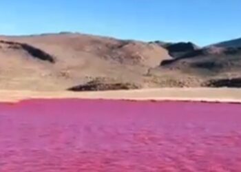 ¿PRESAGIO BÍBLICO? EL RÍO NILO SE VISTE DE ROJO Y DESATA PÁNICO EN LAS REDES SOCIALES