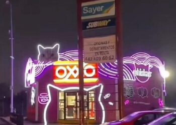 EL IMPACTANTE “MICHI OXXO” DE QUERÉTARO: UNA EXPERIENCIA ÚNICA QUE CONQUISTA LAS REDES SOCIALES