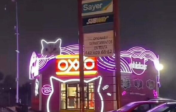 EL IMPACTANTE “MICHI OXXO” DE QUERÉTARO: UNA EXPERIENCIA ÚNICA QUE CONQUISTA LAS REDES SOCIALES