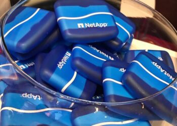 NETAPP AFRONTA EL 2024 CON LA INTELIGENCIA ARTIFICIAL COMO SU PRINCIPAL DESAFÍO