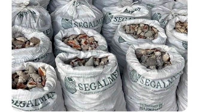 DECOMISA HONG KONG DROGA EN COSTALES DE SEGALMEX