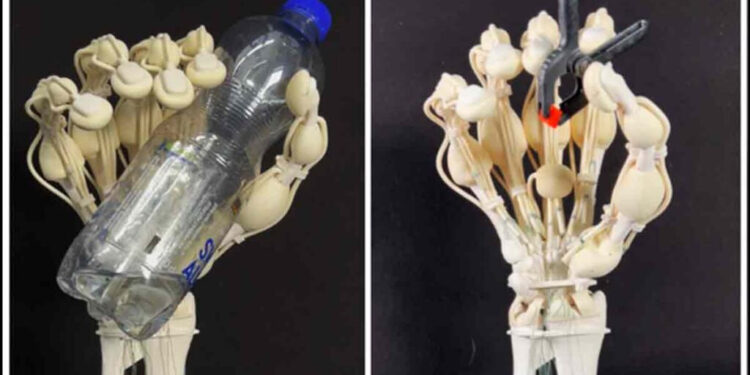 RUMBO A LOS OCTAVOS DE FINAL: EQUIPOS QUE YA ASEGURARON SU PASE EN LA UEFA EUROPA LEAGUE