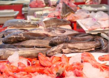 ALERTA DE OCEANA: EL FRAUDE DETRÁS DEL BACALAO – SUSTITUIDO POR ESPECIES EN PELIGRO COMO EL TIBURÓN