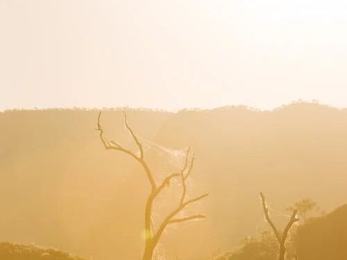 ALERTA AMBIENTAL: EL CAMBIO CLIMÁTICO ACELERA SU IMPACTO EN LOS OCÉANOS 1 ALERTA AMBIENTAL: EL CAMBIO CLIMÁTICO ACELERA SU IMPACTO EN LOS OCÉANOS