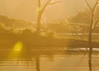 ALERTA AMBIENTAL: EL CAMBIO CLIMÁTICO ACELERA SU IMPACTO EN LOS OCÉANOS