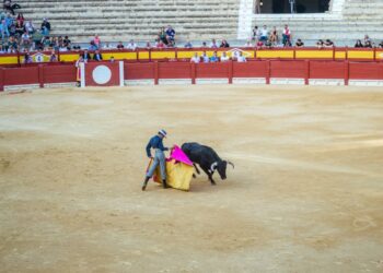 JUEZ PARALIZA LA TAUROMAQUIA EN GUADALAJARA