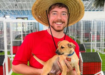 MR BEAST DEMUESTRA SU GRAN CORAZÓN: RESCATA A 100 PERROS ABANDONADOS Y CAMBIA SUS VIDAS PARA SIEMPRE