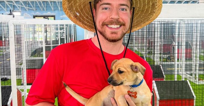 MR BEAST DEMUESTRA SU GRAN CORAZÓN: RESCATA A 100 PERROS ABANDONADOS Y CAMBIA SUS VIDAS PARA SIEMPRE