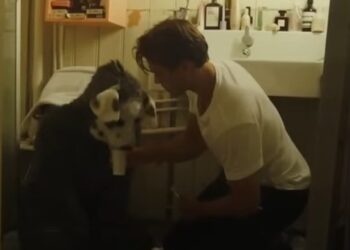 “GOOD BOY”: EL IMPACTANTE THRILLER PSICOLÓGICO QUE DESAFÍA LOS LÍMITES DEL TERROR