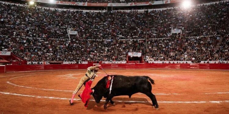 JUEZA ORDENA SUSPENSIÓN INMEDIATA DE CORRIDAS DE TOROS EN LA PLAZA MÉXICO 1 JUEZA ORDENA SUSPENSIÓN INMEDIATA DE CORRIDAS DE TOROS EN LA PLAZA MÉXICO