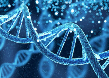 DESCUBREN UN INTERRUPTOR GÉNICO INNOVADOR PARA LA TERAPIA GÉNICA: UN PASO HACIA TRATAMIENTOS MÁS PRECISOS