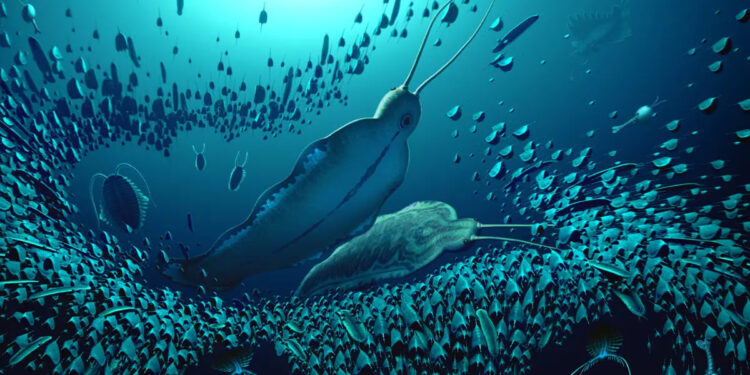 DESCUBRIMIENTO EN GROENLANDIA: FÓSIL DE GUSANO DEPREDADOR GIGANTE DE 518 MILLONES DE AÑOS 1 DESCUBRIMIENTO EN GROENLANDIA: FÓSIL DE GUSANO DEPREDADOR GIGANTE DE 518 MILLONES DE AÑOS