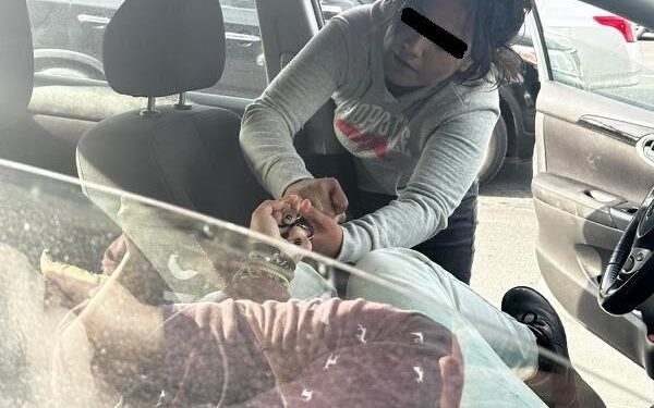 INTENTA MUJER ROBAR AUTO EN PLAZA REAL ¡A MORDIDAS Y TIJERETAZOS! 1 INTENTA MUJER ROBAR AUTO EN PLAZA REAL ¡A MORDIDAS Y TIJERETAZOS!