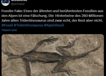 FÓSIL DE REPTIL MÁS ANTIGUO DE LOS ALPES REVELADO COMO FALSO
