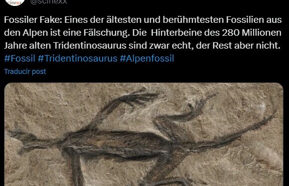 FÓSIL DE REPTIL MÁS ANTIGUO DE LOS ALPES REVELADO COMO FALSO