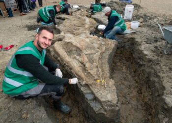 DESCUBIERTO FÓSIL COMPLETO DE “DRAGÓN” ACUÁTICO DE 240 MILLONES DE AÑOS