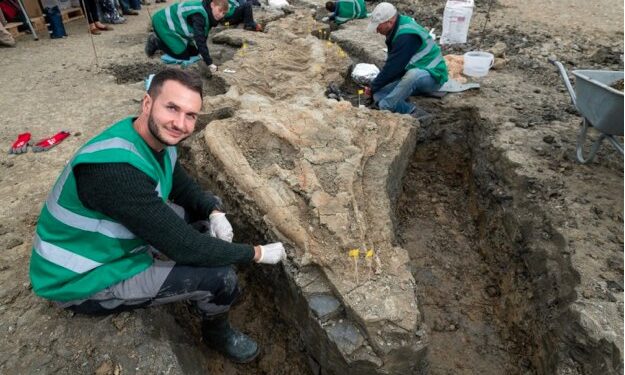 DESCUBIERTO FÓSIL COMPLETO DE "DRAGÓN" ACUÁTICO DE 240 MILLONES DE AÑOS 1 DESCUBIERTO FÓSIL COMPLETO DE “DRAGÓN” ACUÁTICO DE 240 MILLONES DE AÑOS