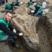 DESCUBIERTO FÓSIL COMPLETO DE "DRAGÓN" ACUÁTICO DE 240 MILLONES DE AÑOS 7 DESCUBIERTO FÓSIL COMPLETO DE “DRAGÓN” ACUÁTICO DE 240 MILLONES DE AÑOS