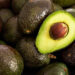FAMILIAS MEXICANAS SE PREPARAN PARA EL SUPER BOWL CULTIVANDO AGUACATES 7 FAMILIAS MEXICANAS SE PREPARAN PARA EL SUPER BOWL CULTIVANDO AGUACATES
