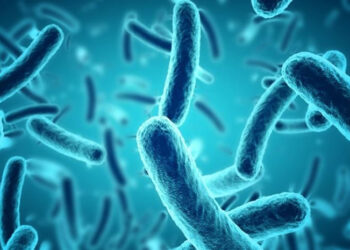INVESTIGACIÓN REVELA LA ADAPTACIÓN DE BACTERIAS EN LA ANTÁRTIDA A TRAVÉS DE LA MICRODIVERSIDAD