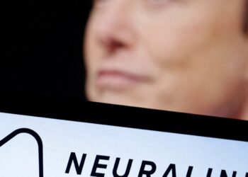 LA COMPETENCIA DE MUSK VS. ZUCKERBERG POR LA INNOVACIÓN EN NEUROTECNOLOGÍA