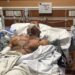 EXCAMPEÓN DE UFC MARK COLEMAN EN ESTADO CRÍTICO TRAS RESCATAR A SUS PADRES DE INCENDIO 7 EXCAMPEÓN DE UFC MARK COLEMAN EN ESTADO CRÍTICO TRAS RESCATAR A SUS PADRES DE INCENDIO