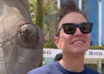 MARK DE BLINK 182 SE NIEGA A DARLE AUTÓGRAFO A SUPUESTO FAN EN MEDIO DE GIRA LATINOAMERICANA