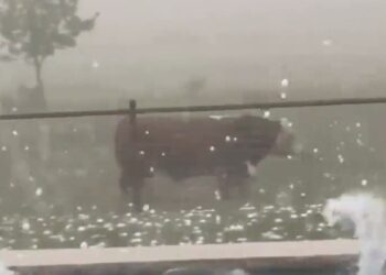 ALERTA DE CONGELAMIENTO EMITIDA POR LA NWS: AFECTA A 25 MILLONES DE PERSONAS