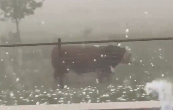 ALERTA DE CONGELAMIENTO EMITIDA POR LA NWS: AFECTA A 25 MILLONES DE PERSONAS