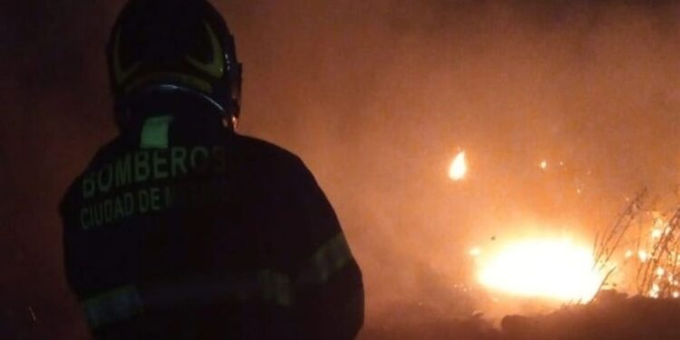 BOMBEROS DE LA CDMX DOMINAN FUEGO EN BOSQUE DE CHAPULTEPEC 1 BOMBEROS DE LA CDMX DOMINAN FUEGO EN BOSQUE DE CHAPULTEPEC