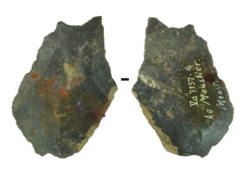 LOS INGENIOS NEANDERTALES REVELADOS: UN DESCUBRIMIENTO EN LE MOUSTIER